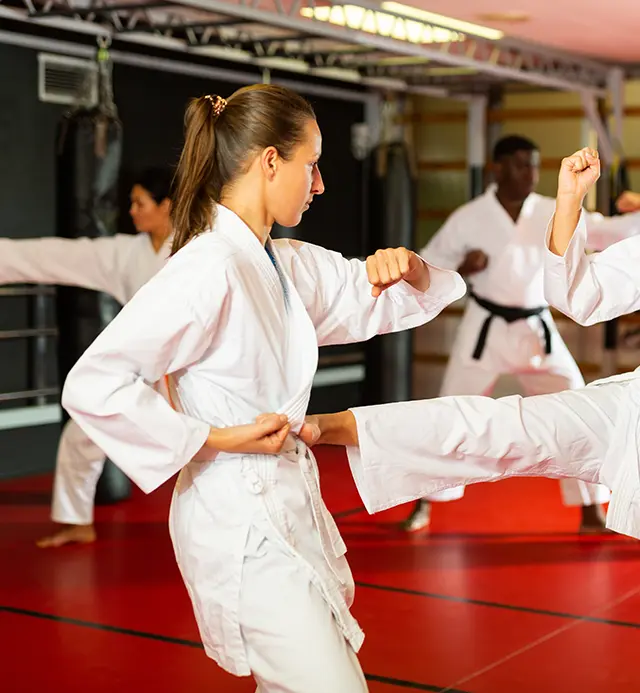 Attrezzatura per il karate